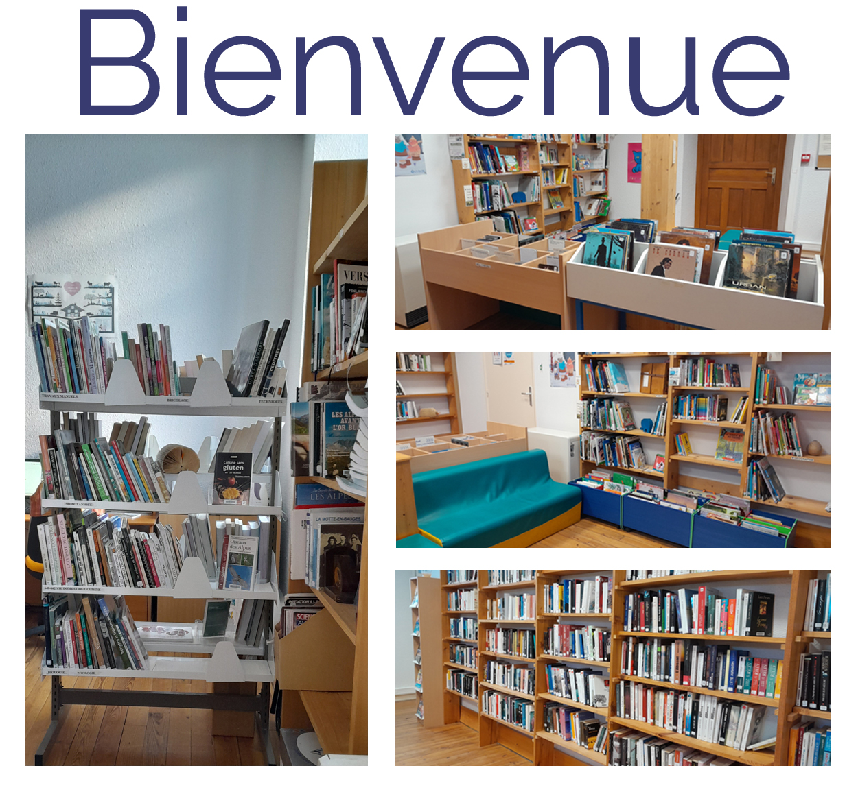 accueil Le noyer